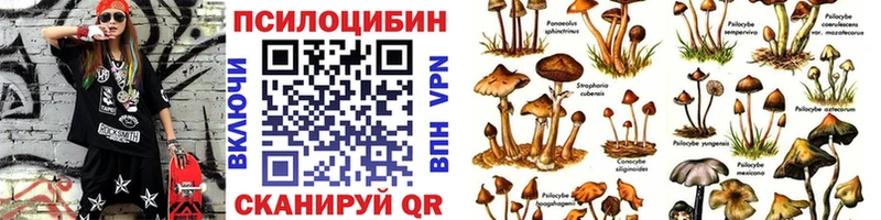 Купить где  Белый  Псилоцибиновые грибы ЛСД 
